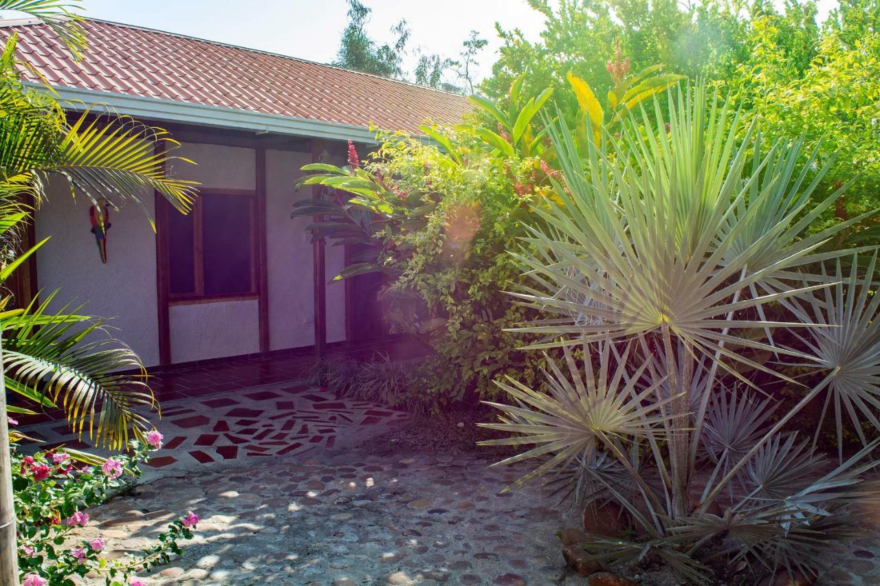 Hostal El Ruby Villavieja Bagian luar foto